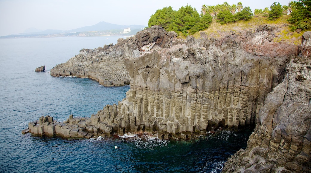 Jeju Island showing landscape views, a coastal town and rugged coastline