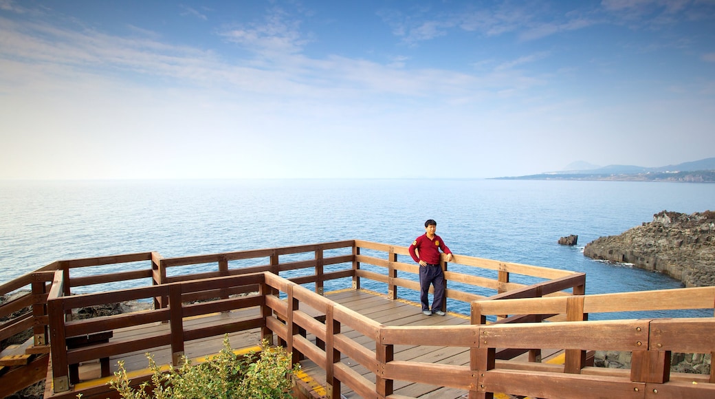 Jeju Island showing landscape views, views and general coastal views