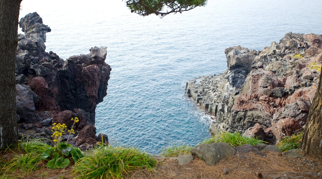 Jeju Island som inkluderar landskap och klippig kustlinje