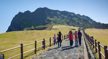 Seongsan Ilchulbong featuring landscape views, hiking or walking and tranquil scenes