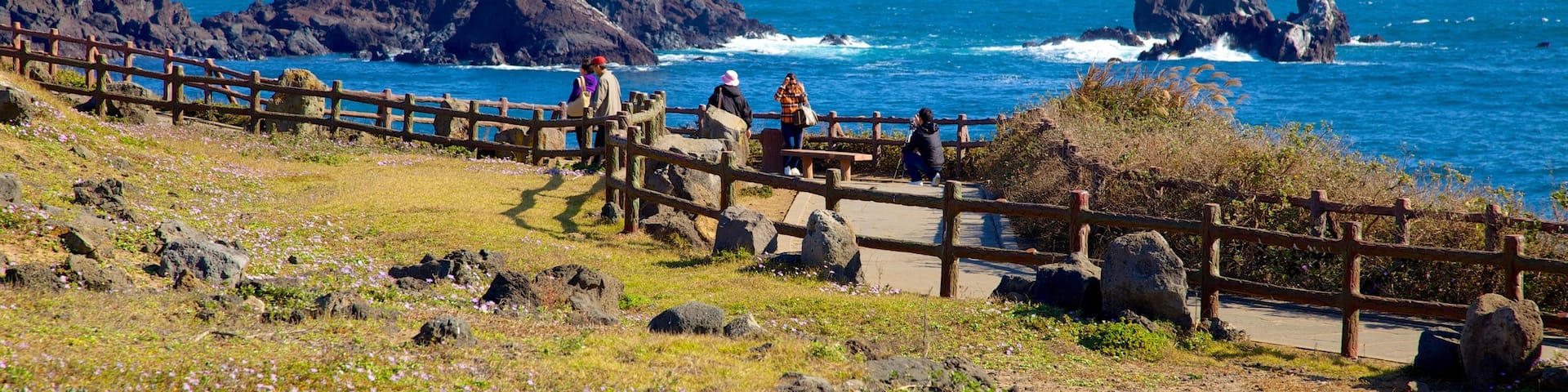 Jeju Island showing landscape views, rugged coastline and a coastal town