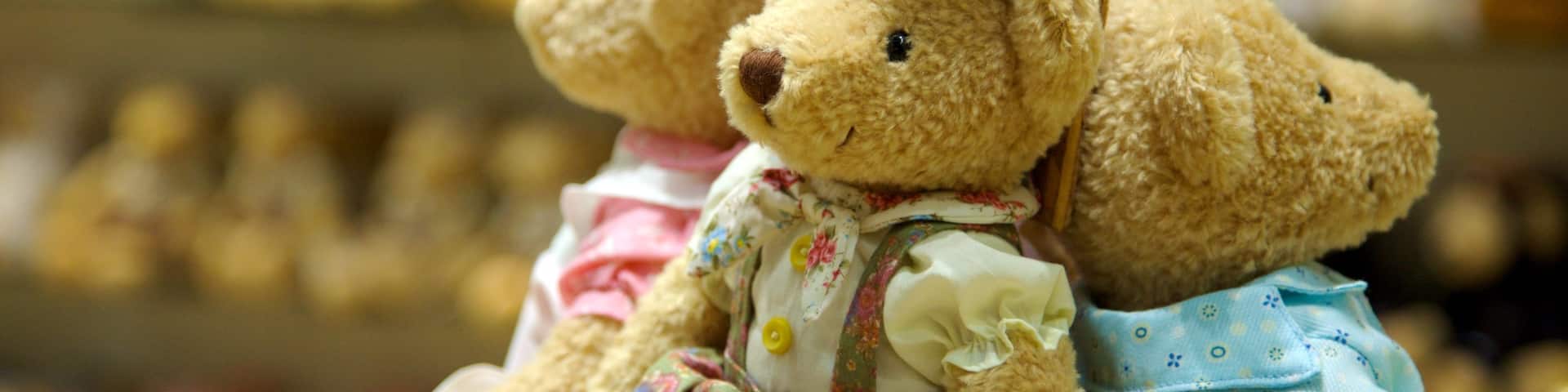 Jeju Teddy Bear Museum showing interior views