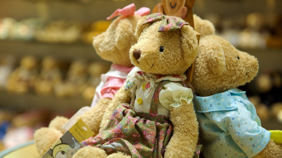 Jeju Teddy Bear Museum showing interior views