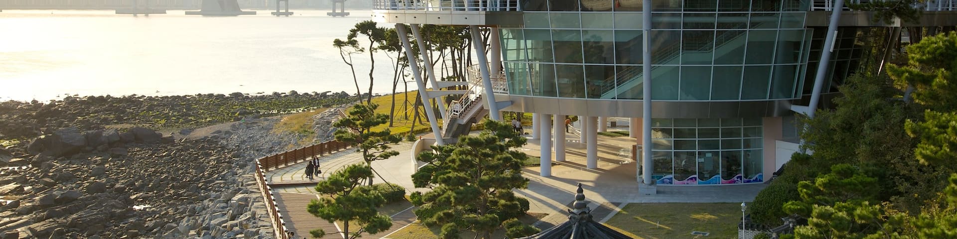 Nurimaru APEC House which includes general coastal views, a house and modern architecture