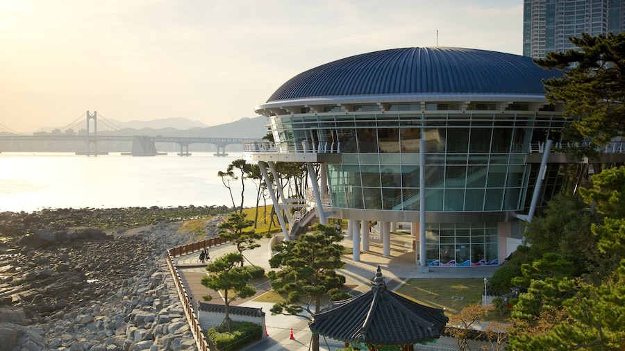 Nurimaru APEC House showing modern architecture, general coastal views and a house