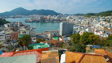 Aldea de Dongpirang ofreciendo vistas generales de la costa, una casa y una bahía o puerto