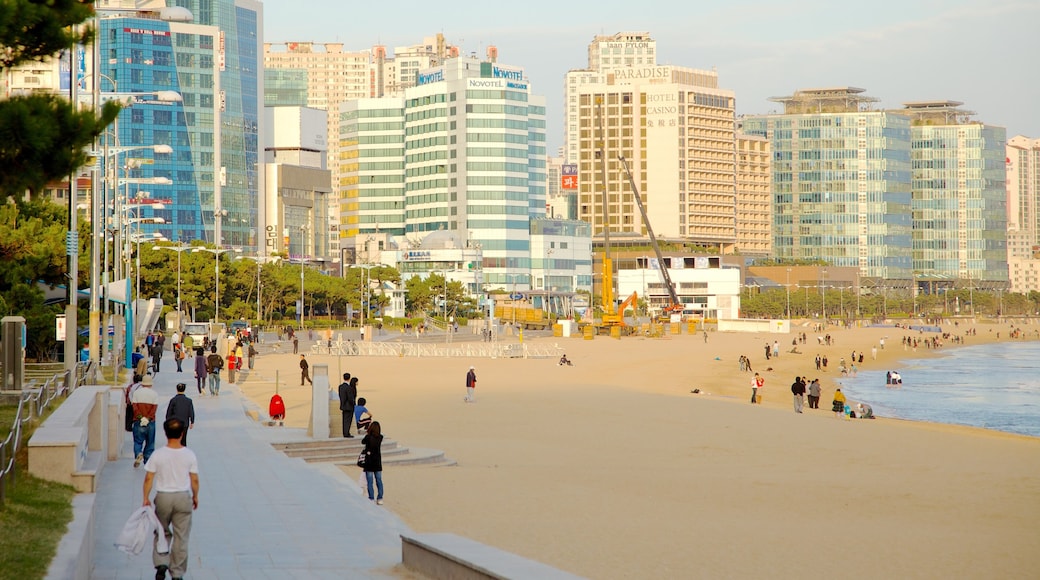 Haeundae Beach showing a coastal town and a beach