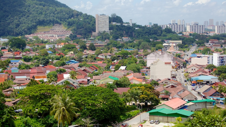Kek Lok Si Temple featuring religious aspects, forests and a city
