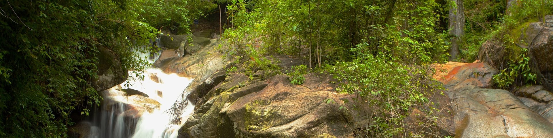Penang welches beinhaltet Wasserfall, Regenwald und Waldmotive