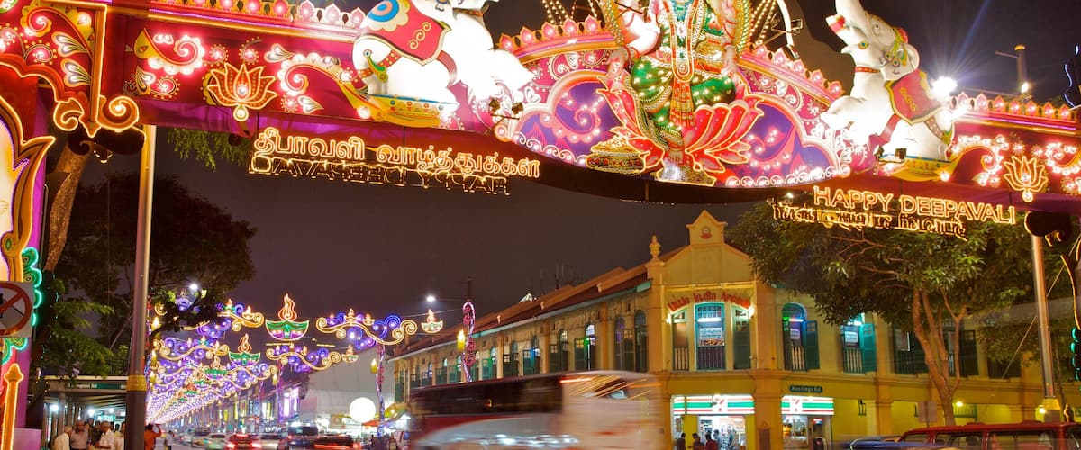 Little India featuring street scenes, a city and night scenes