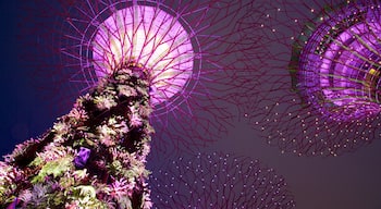 Gardens by the Bay che include architettura moderna, paesaggio notturno e parco