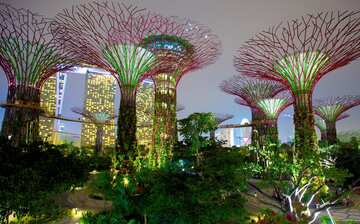 ガーデンズ バイ ザ ベイ シンガポール エクスペディア ガーデンズ バイ ザ ベイ シンガポール エクスペディア