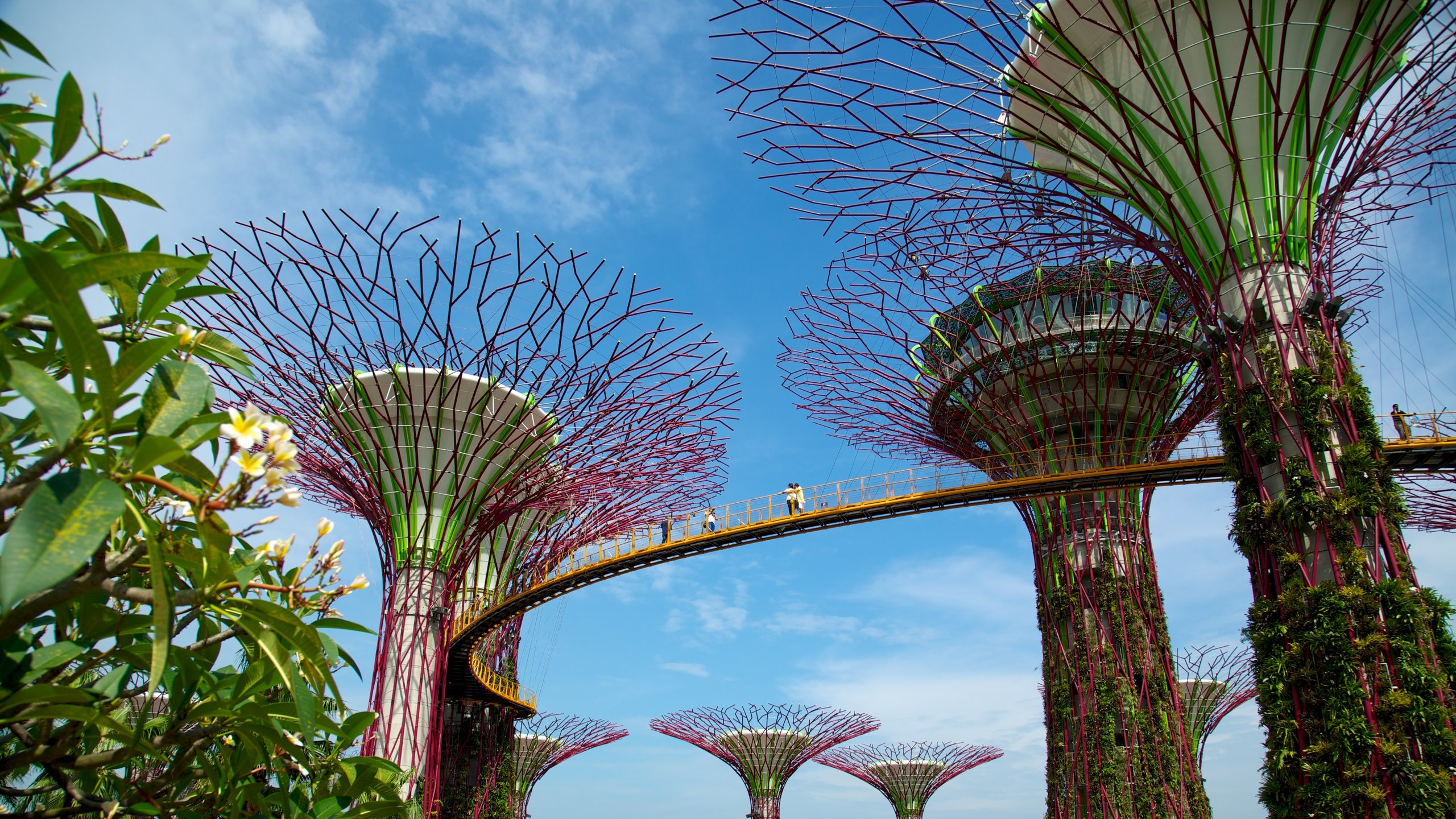 Singapore Gardens By The Bay which includes a garden