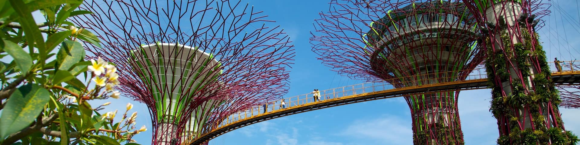 Gardens by the Bay which includes a garden