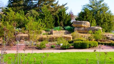 Kansas City showing landscape views and a garden
