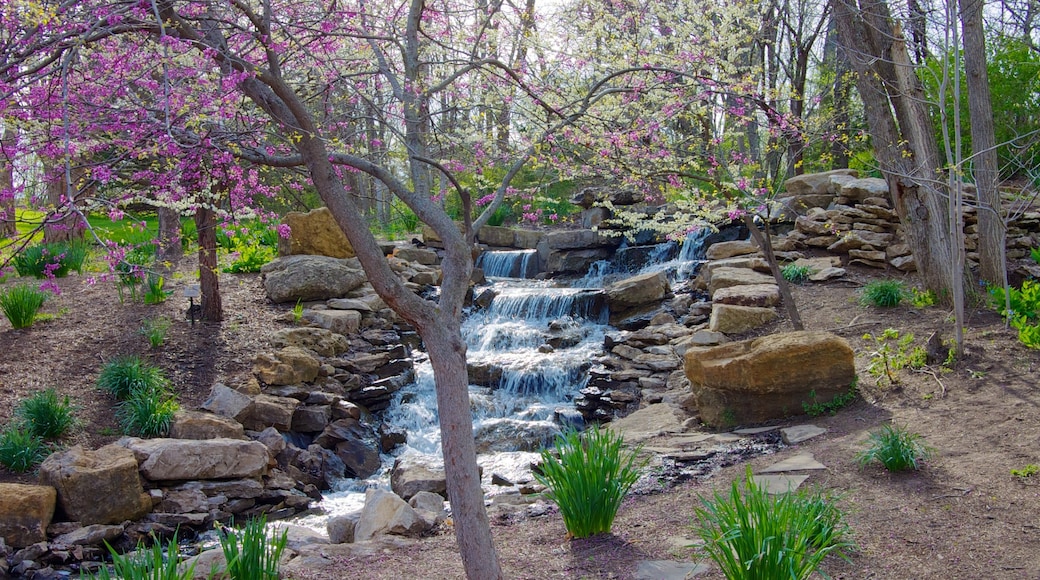 Overland Park Arboretum and Botanical Gardens showing a river or creek, a waterfall and forest scenes