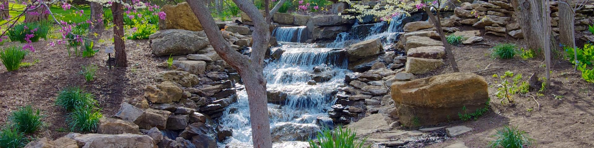 Overland Park Arboretum and Botanical Gardens showing a river or creek, a waterfall and forest scenes