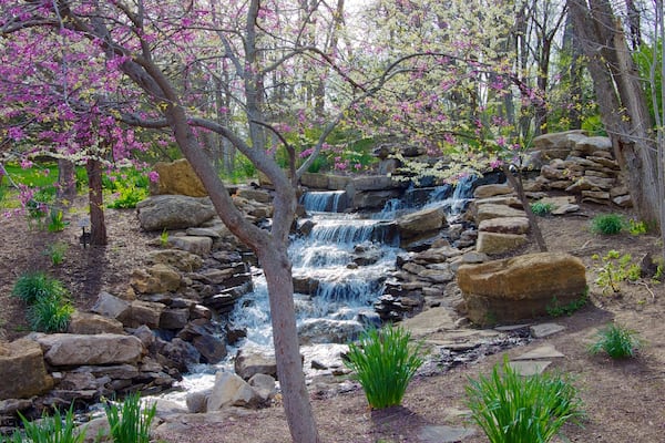 Overland Park Arboretum and Botanical Gardens mettant en vedette parc, rivière ou ruisseau et cascade