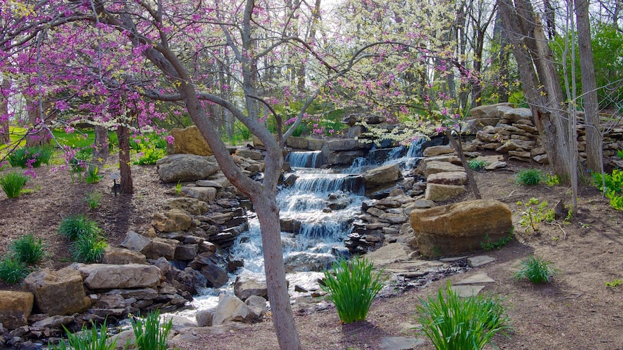 Overland Park Arboretum and Botanical Gardens ofreciendo un río o arroyo, una catarata y un parque