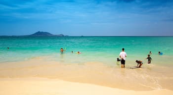 Kailua Beach featuring swimming, landscape views and a sandy beach