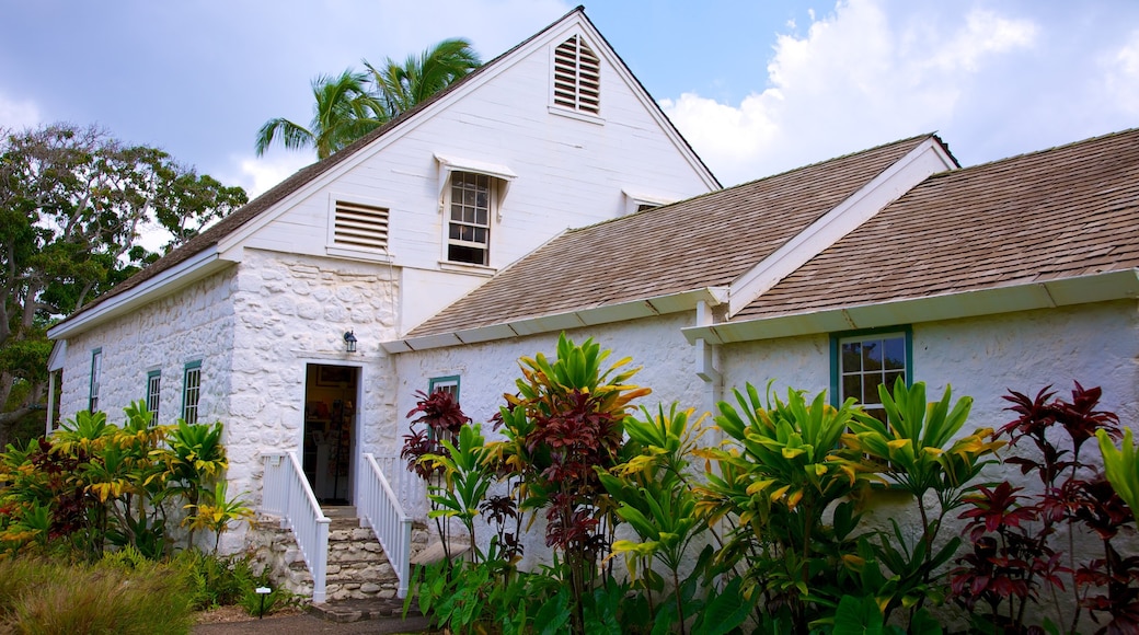 Bailey House Museum showing a house