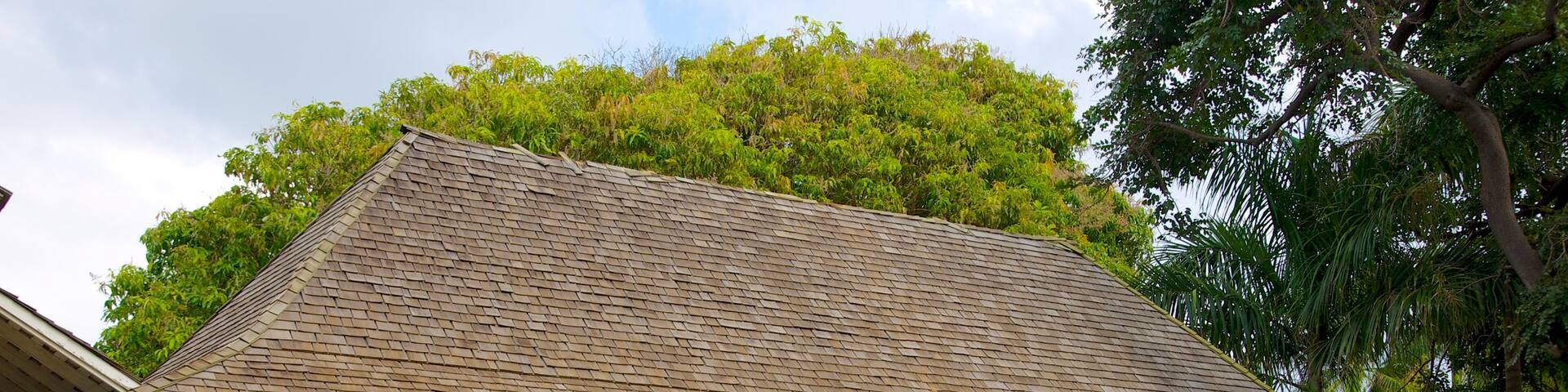 Museo Bailey House que incluye una casa