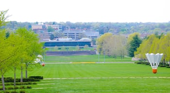 Nelson-Atkins Museum of Art mostrando um jardim