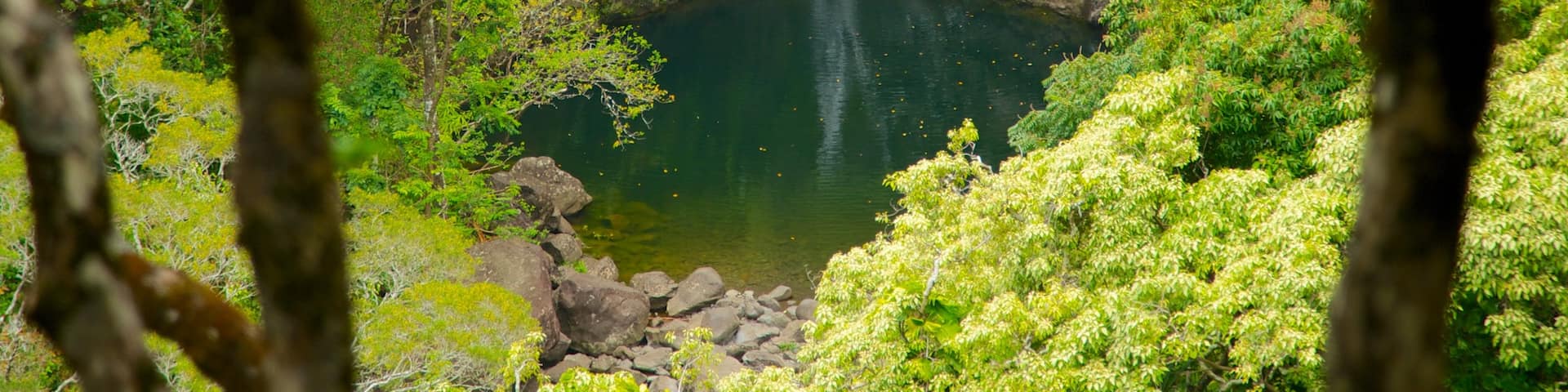 マウイ島 どの含み 滝, 自然の風景 と 庭園