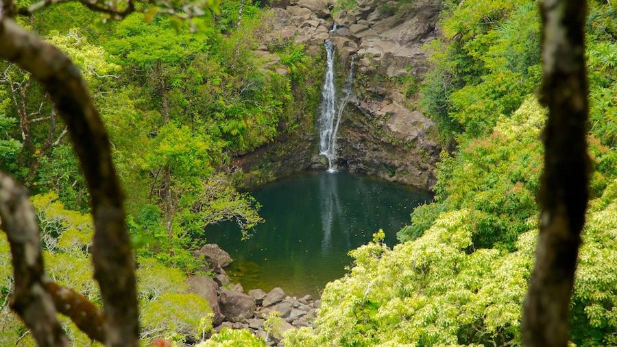 Maui mostrando foresta, vista del paesaggio e cascata