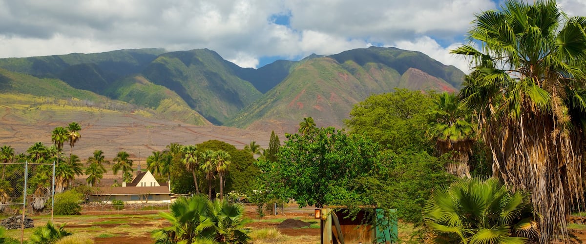 Lahaina showing landscape views and tropical scenes