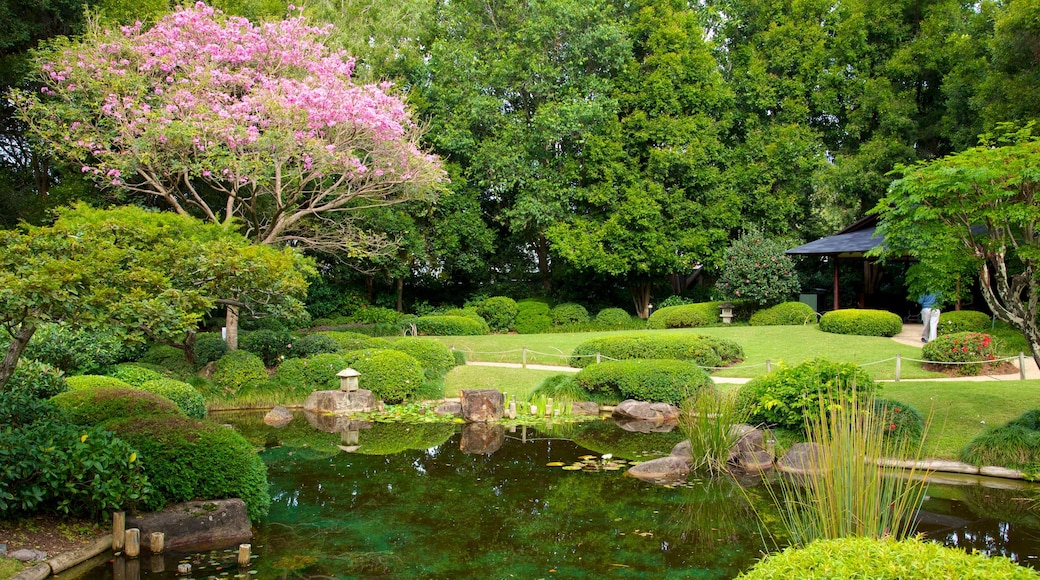 Brisbane Botanic Gardens which includes a pond and a park