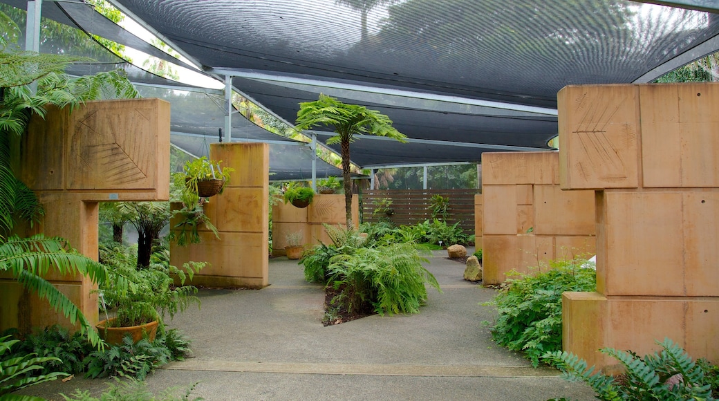 ブリスベンシティー植物園 どの含み 庭園 と 屋内の眺め