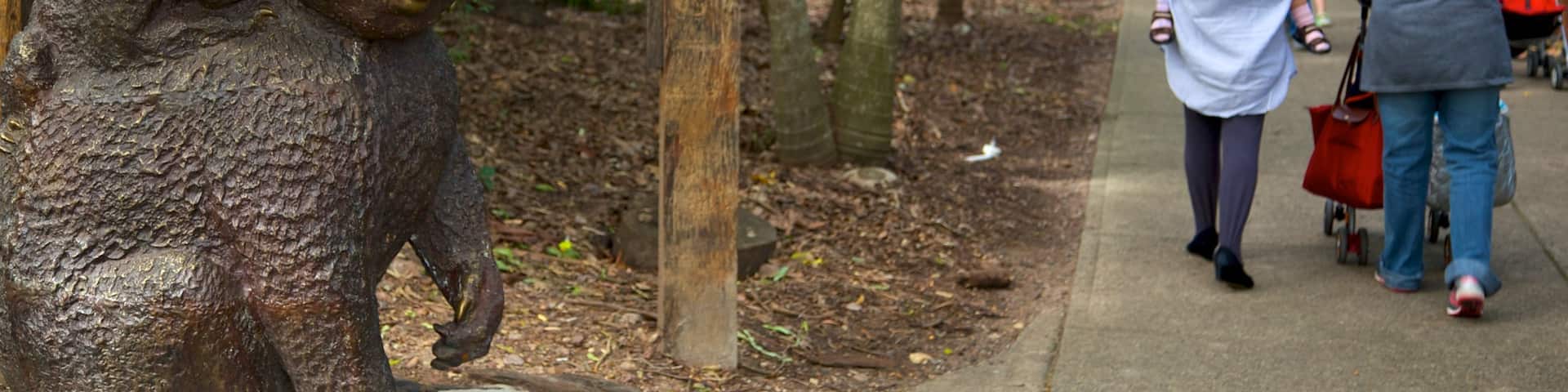 Lone Pine Koala Sanctuary which includes zoo animals