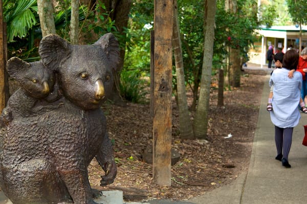 Refuge pour koalas de Lone Pine montrant animaux de zoo
