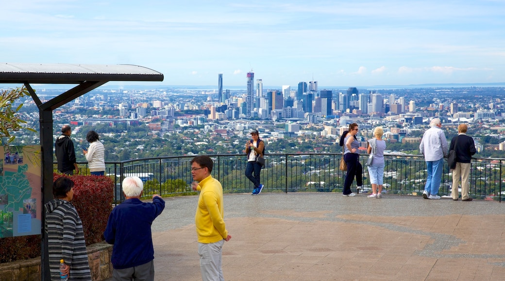 Mt. Coot-Tha which includes a city, skyline and a high rise building