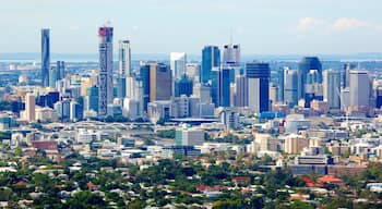 Mt. Coot-Tha mostrando un rascacielos, una ciudad y distrito central de negocios