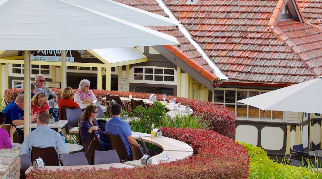 Mt. Coot-Tha showing outdoor eating