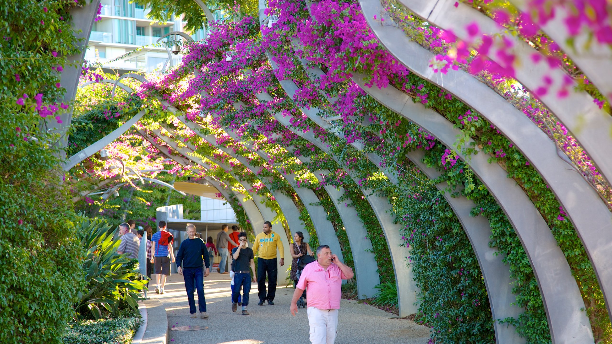 Southbank Parklands featuring street scenes, a city and flowers