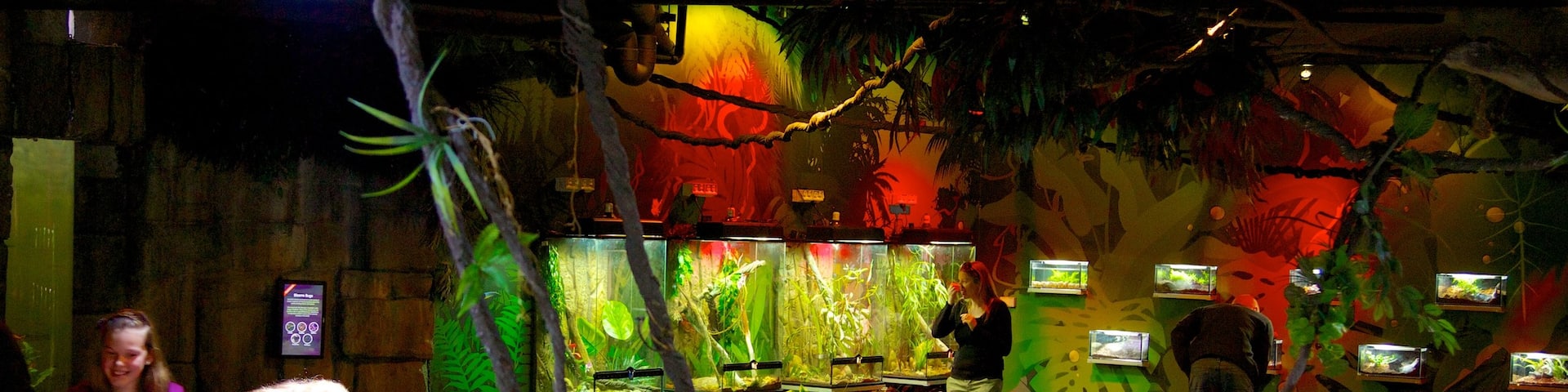 Melbourne Aquarium featuring interior views and marine life