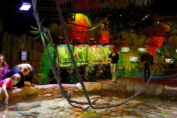 Aquarium de Melbourne qui includes vie marine et vues intérieures