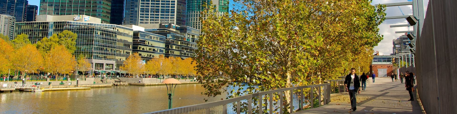 Southbank showing city views, a city and a river or creek