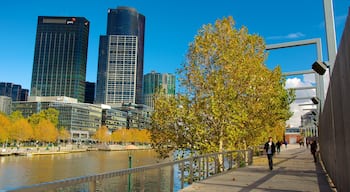 Southbank inclusief een rivier of beek, cbd en een stad