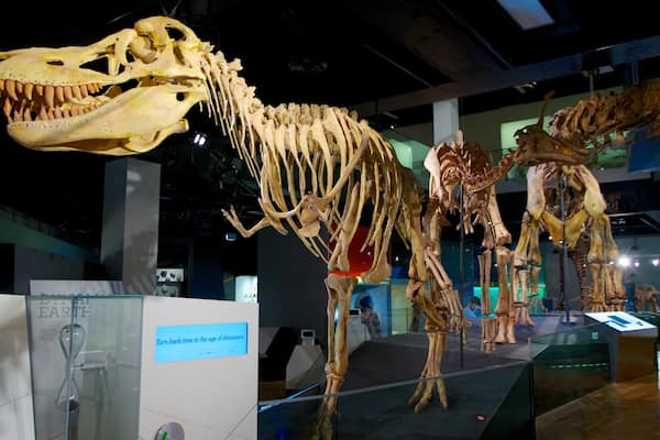 Melbourne Museum som visar interiörer
