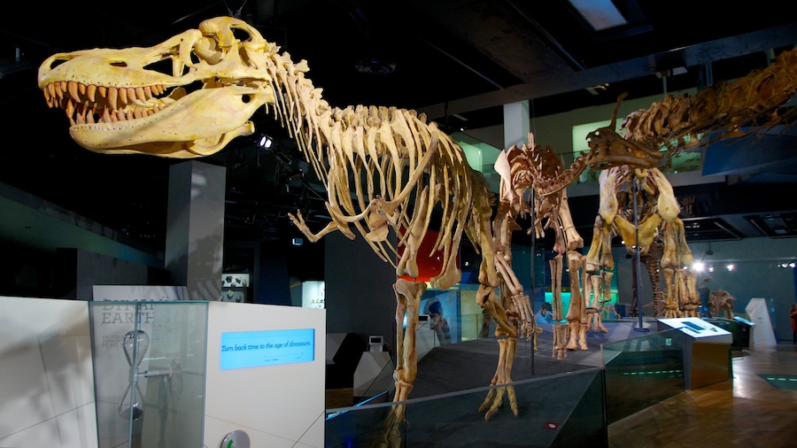 Musée de Melbourne mettant en vedette vues intérieures