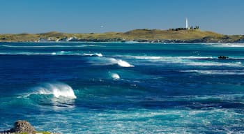 Isla Rottnest mostrando horizonte urbano y olas