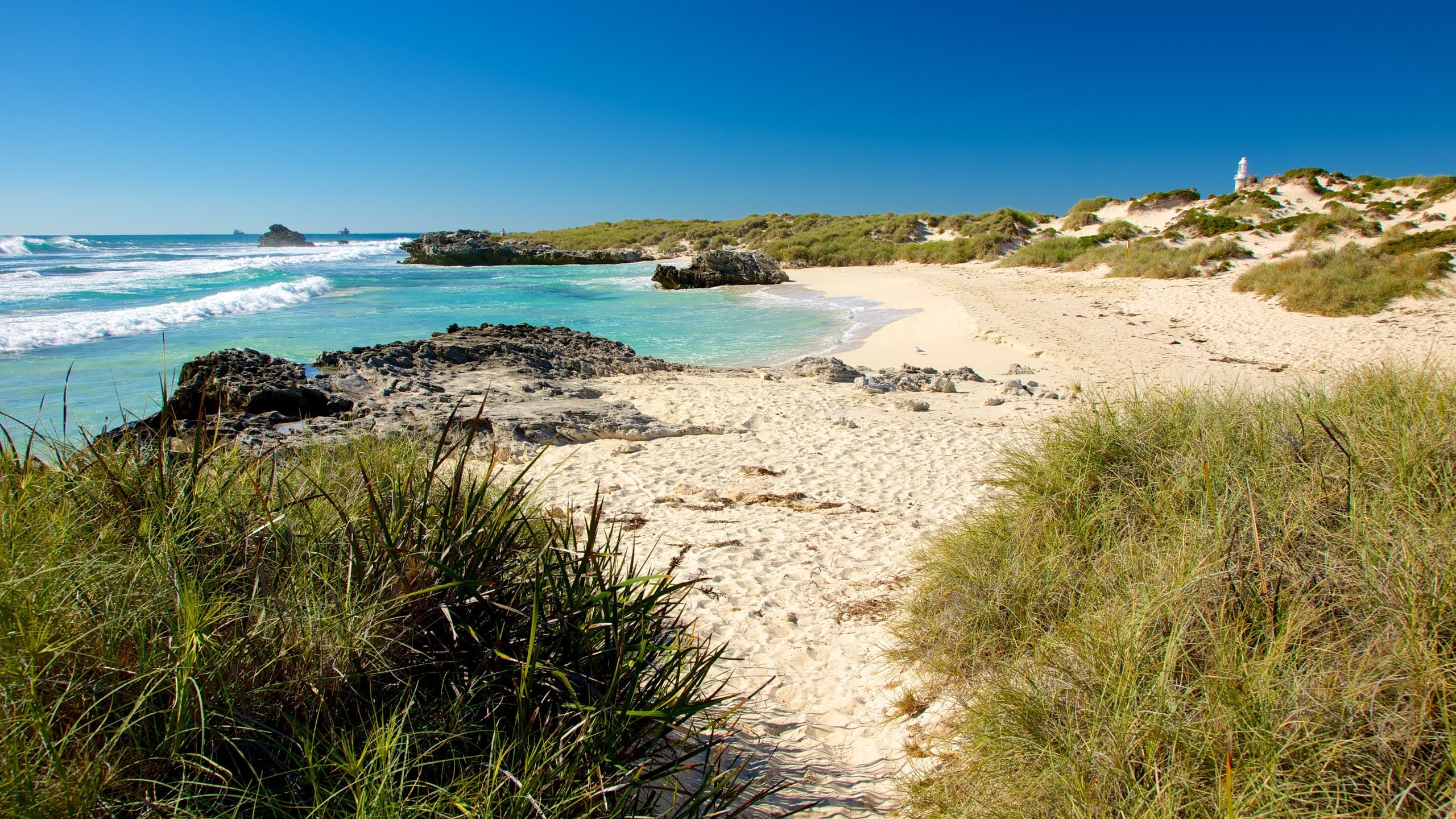 Isla Rottnest mostrando una playa y vistas de paisajes
