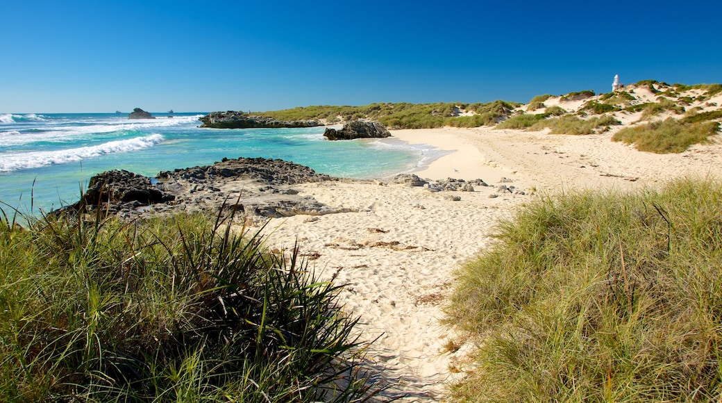 Rottnest Island featuring a sandy beach and landscape views