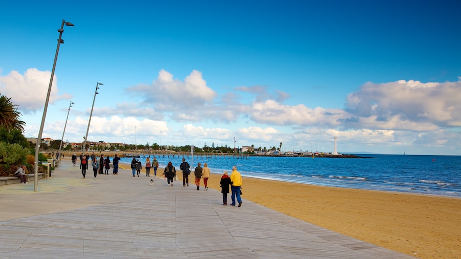 St. Kilda Beach which includes tropical scenes and a beach