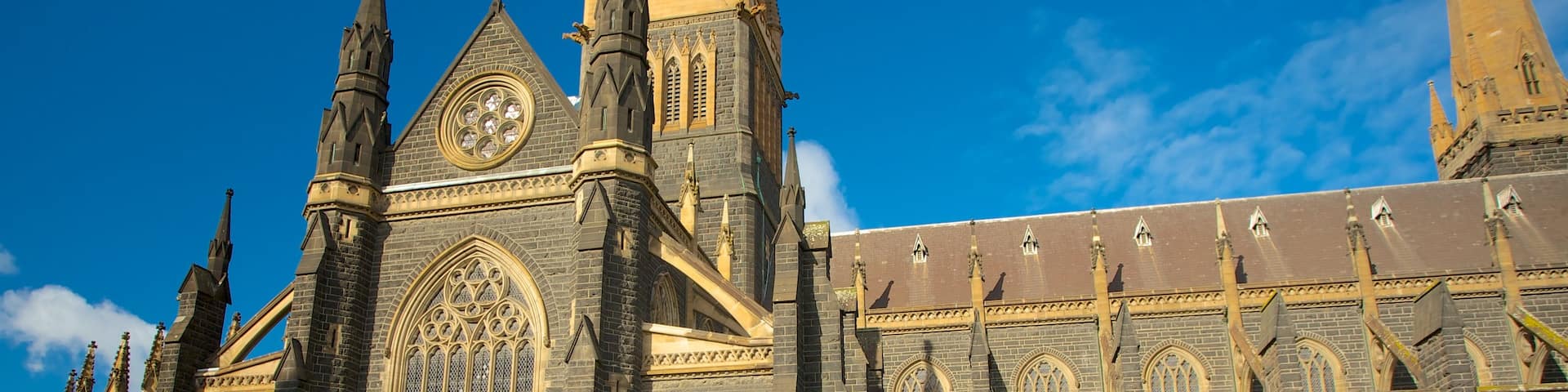 St Patrick\\\'s Cathedral showing a city, a church or cathedral and heritage architecture