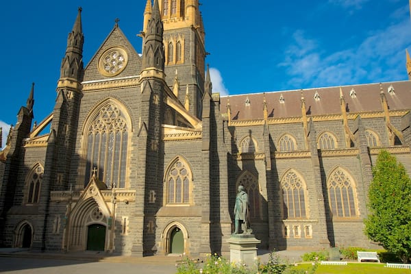 Cathédrale Saint-Patrick montrant ville, église ou cathédrale et patrimoine architectural